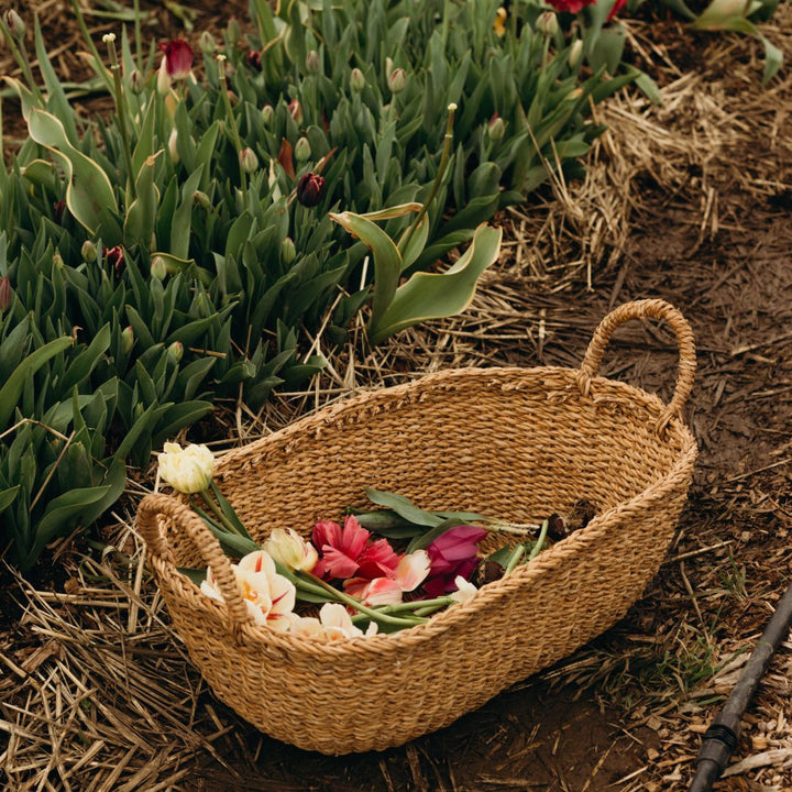 Harvest Oval Tray Baskets New Arrivals